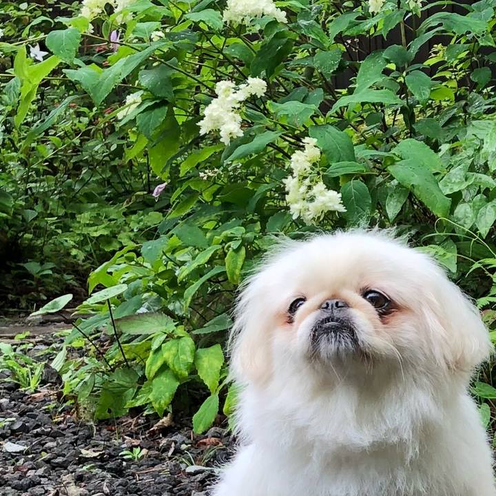 D58a13f0 c637 40ef 8776 b8d2584626b7 1533991521381