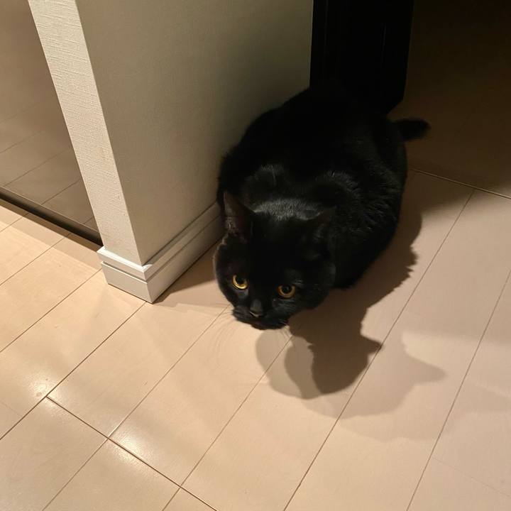 D58a216b a949 4dc4 b3d1 3bdffdc85f25 1702036758534