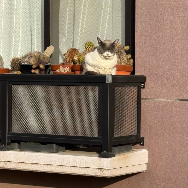 D58a3173 6205 4141 8a05 67b0a1decba0 1772419812858