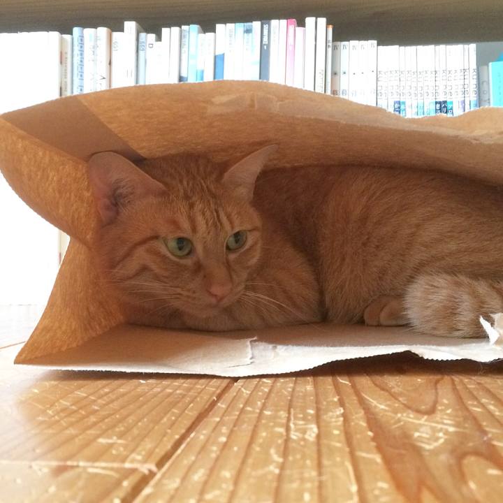 D58a39c6 cde3 496e 8371 31466d4d5f57 1508632112736