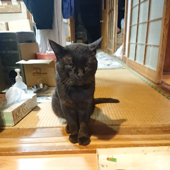 D58a5014 60ff 4c32 8286 148d5e5fef94 1627814319023