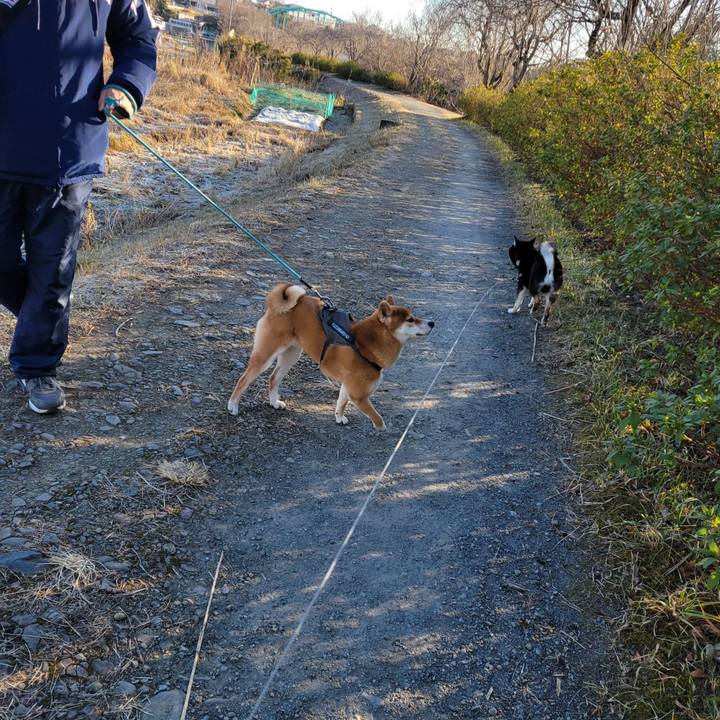 D58a72e3 4b61 4bd1 a3e5 41a6d2a02882 1770160484795