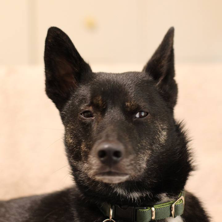 D58ab41b 2169 4973 a7b0 8654651321dd 1544831631865