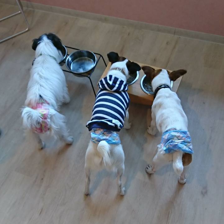 D58abb0b a0cc 4c52 b25d 2fac7d33b5cd 1524350831024