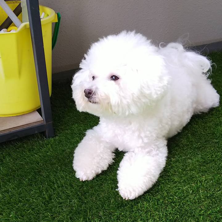 D58abed9 41e4 4955 93a5 d4198463a0ee 1536389035750