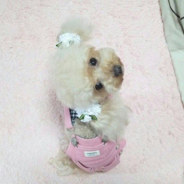 D58b1ab5 4a7d 42a9 8127 7eb8e9029d0c 1542789054906