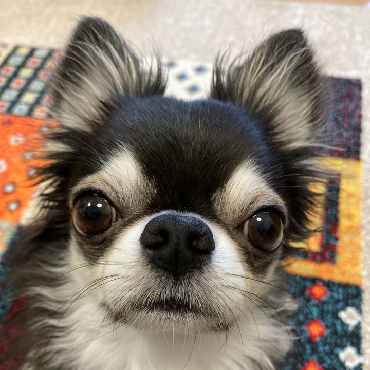 D58b1df5 6afa 4f9a bea4 e44fee935847 1690583587664