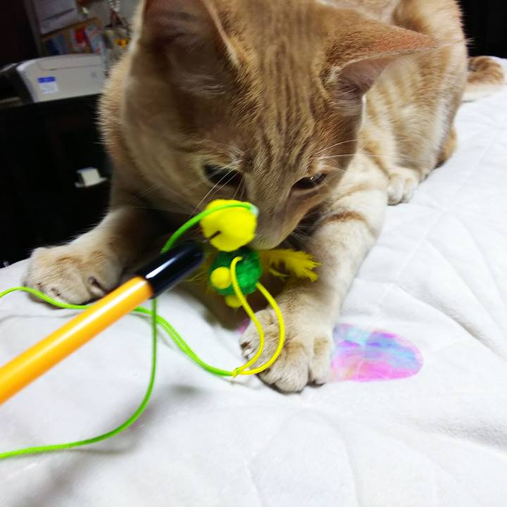 D58b4562 56a2 4868 873d 28464877d622 1553598439158