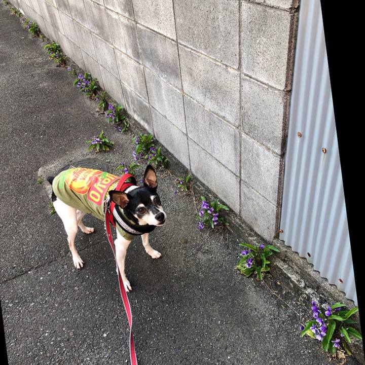 D58b514b dc2f 4c18 a1ae cac19e60d954 1554607900231