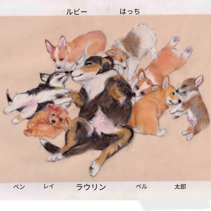 D58b60ba 8624 4908 aef5 4c71e1f915da 1612660272148