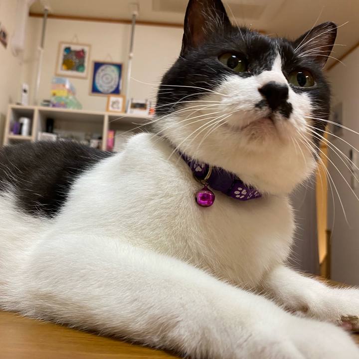 D58b718d 5536 497c 877b 423c1854eb2b 1634356089238