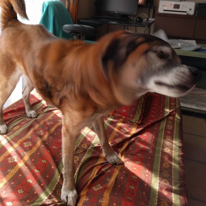 D58b7367 243b 4bdf 931c 8ba55dfbed68 1513038429441