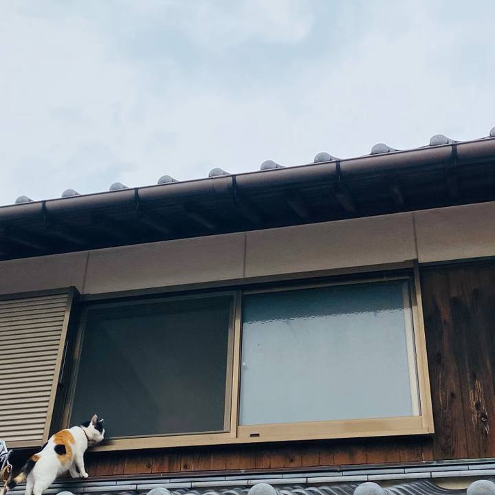 D58c1abb 2827 4633 954e 06e55f457eb9 1654851306428