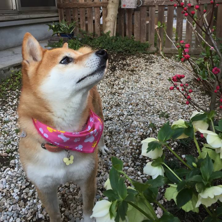 D58c4727 db5d 4d07 9dd0 eeda27919f81 1521708823813