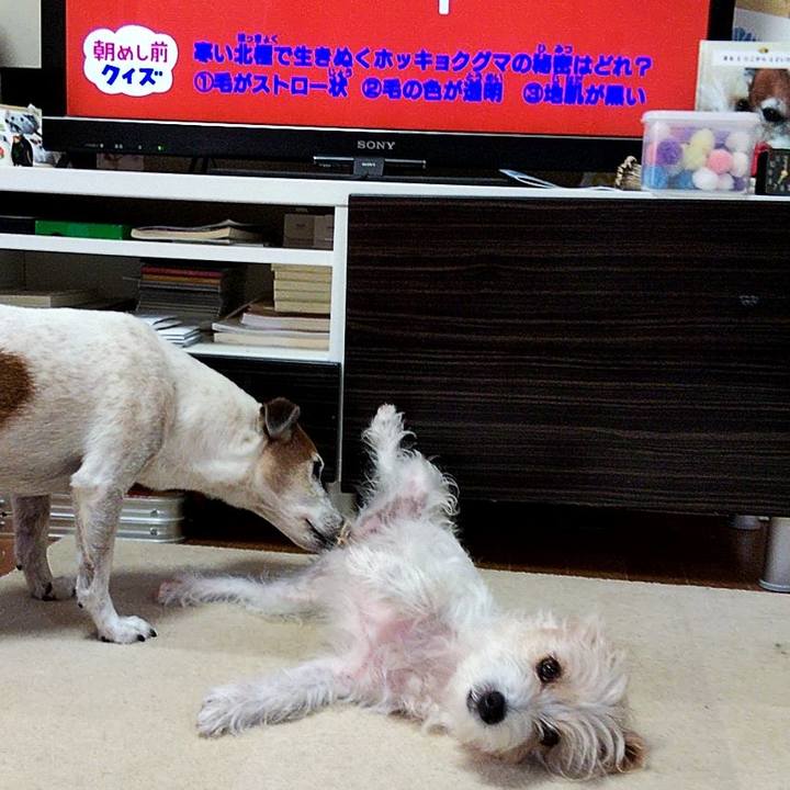 D58c51ce c9f2 4f3c 85d5 7174f886a9f5 1563919558863