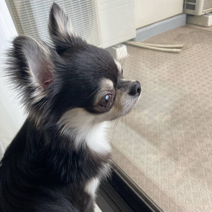 D58c5c73 3d37 4e0c 89cd 3be8510679ab 1621142339184