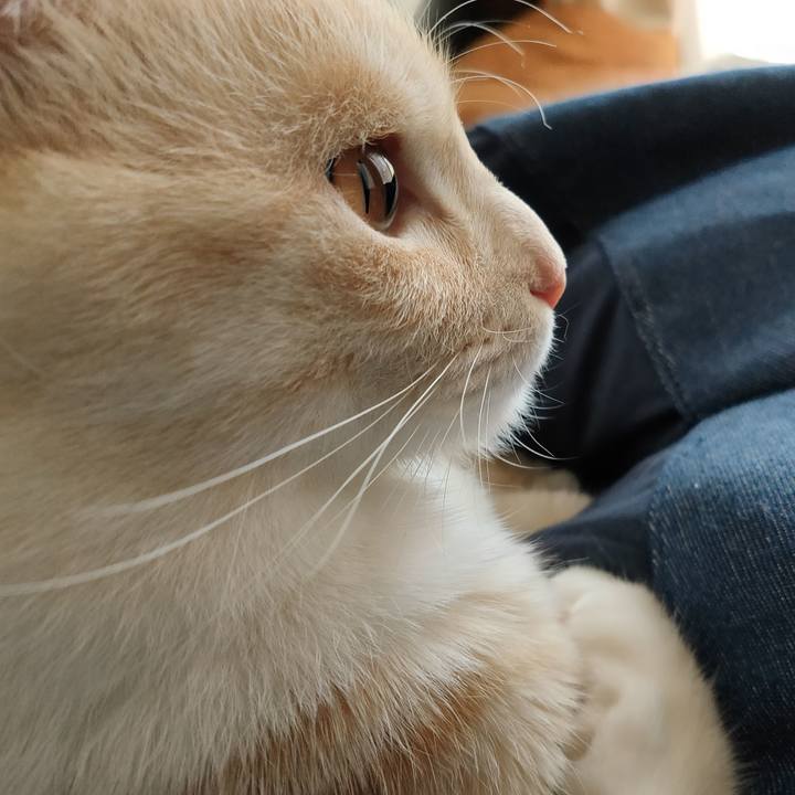 D58c9eb5 4c1a 4e44 86d8 f3b197371a29 1653438103900