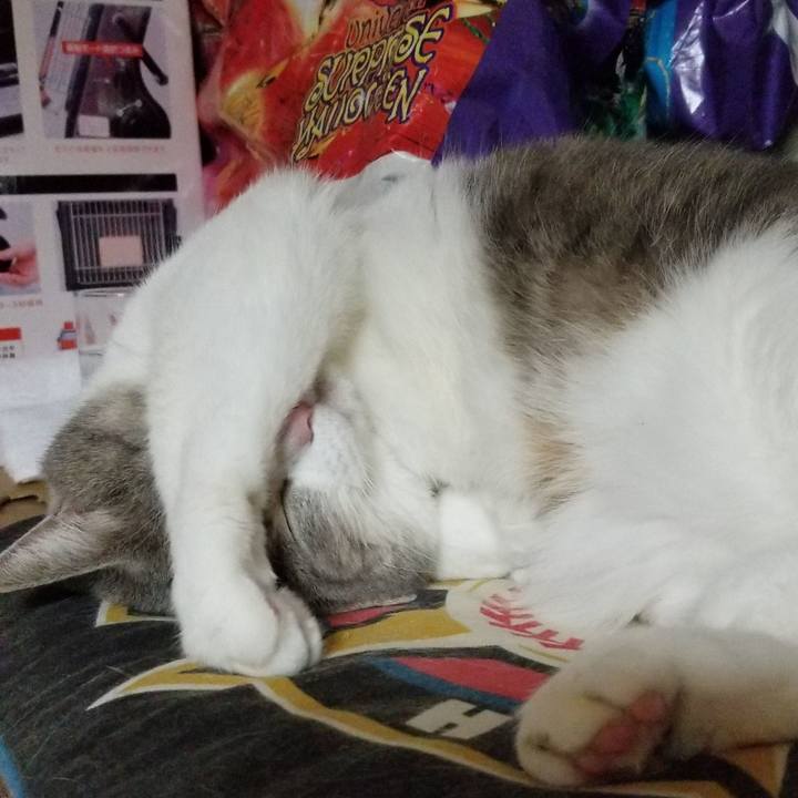 D58cba50 236a 4ab9 8f2f 58030247675c 1605143731325