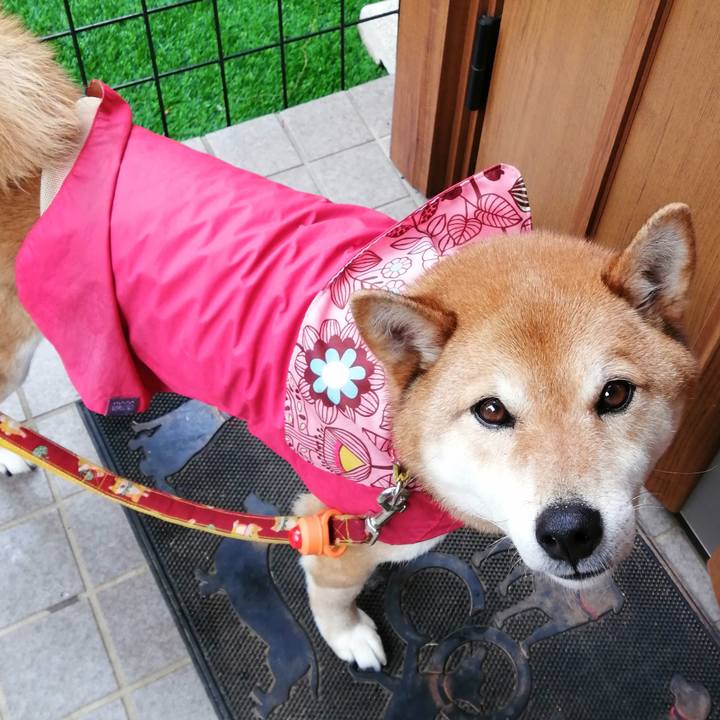 D58ce49a 748e 417d 80b2 27fd397f1da3 1583804272672