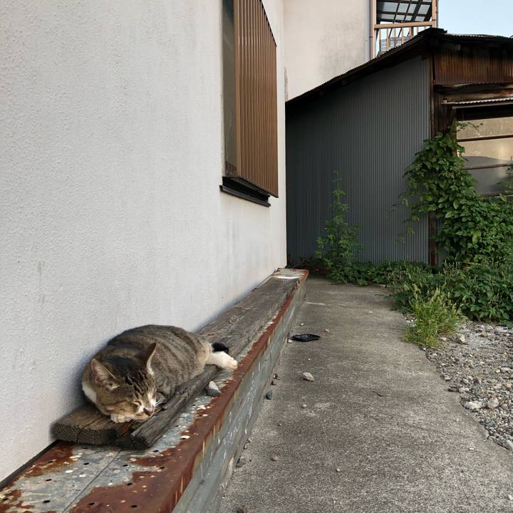 D58d053c 68f6 4cd7 ab8b 582af963c6ee 1538144930070