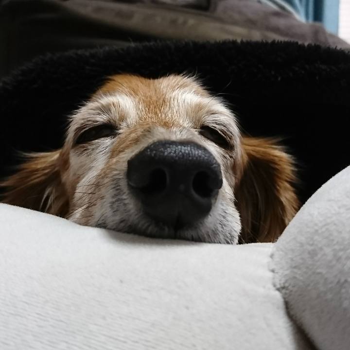 D58d1d90 8fe5 462a a6ca 12b7cb74631f 1511233935409