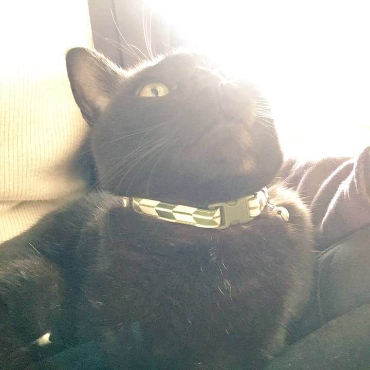 D58d2fcf 2ac7 4c9b b35f d12236c0b950 1542499016533