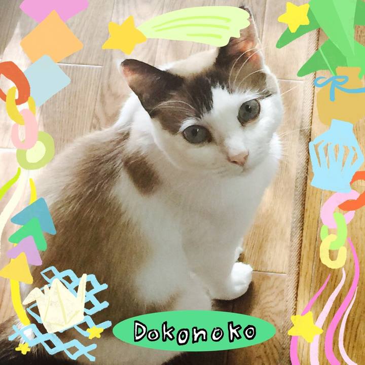 D58d34fc 7681 4277 8f70 bdae5d8fdeaa 1755082914360