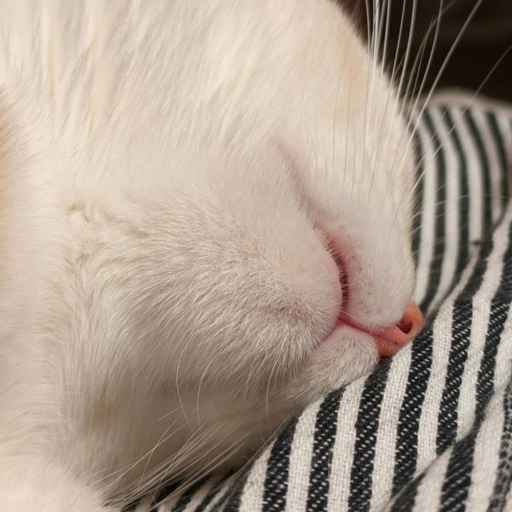 D58d8537 efd6 47f1 8c7b 1dc385593e55 1694083624175