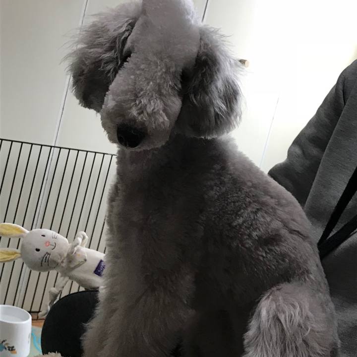 D58da3dd 9367 4d6c b7cc 2d4a0ea5bf16 1585470890889