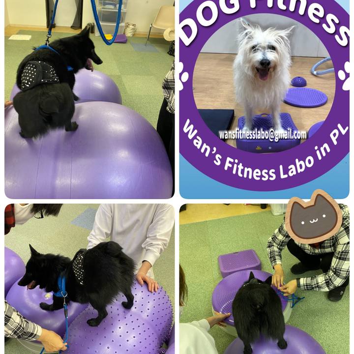 D58df1e7 d321 4e7c b25a 7e8b12f21619 1612268265023