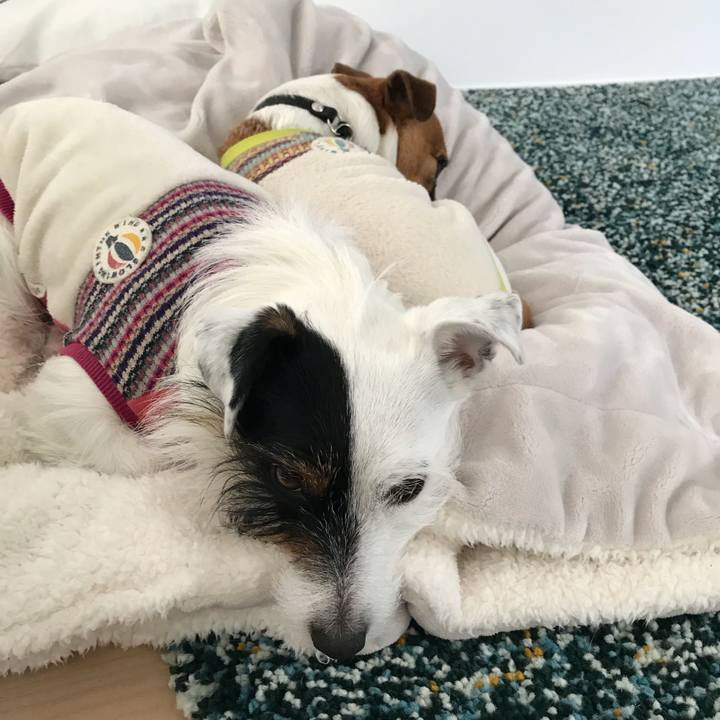 D58e0e30 5eff 4436 8444 bf71777b0614 1517448652032