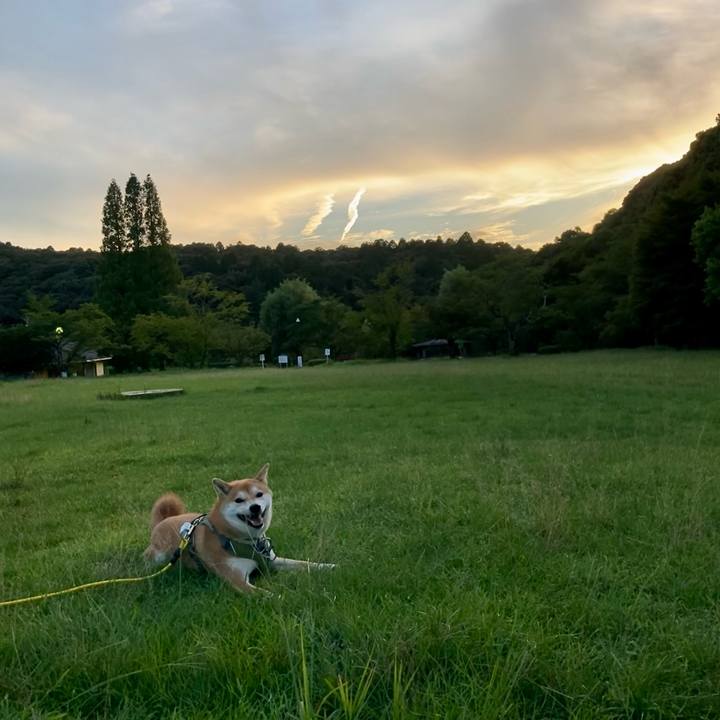 D58e1580 8833 4be7 8c03 e79315a2d4d3 1659310520113