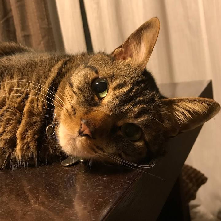 D58e37de 1280 4cbf 88bd eb83597b0720 1654172396687