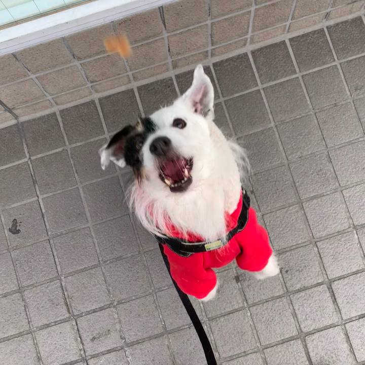 D58e4701 0f57 4ce9 b0df c12e36a6cd4b 1706747995255