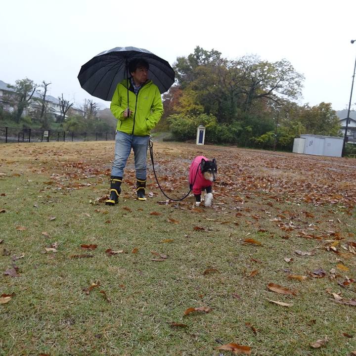 D58eb0ce f636 46c8 8862 463b0f04abbe 1574475969372