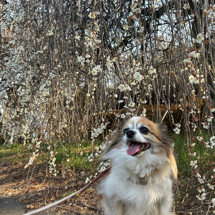 D58ed7cb 7cca 4552 8593 d7131200a41e 1772454426563