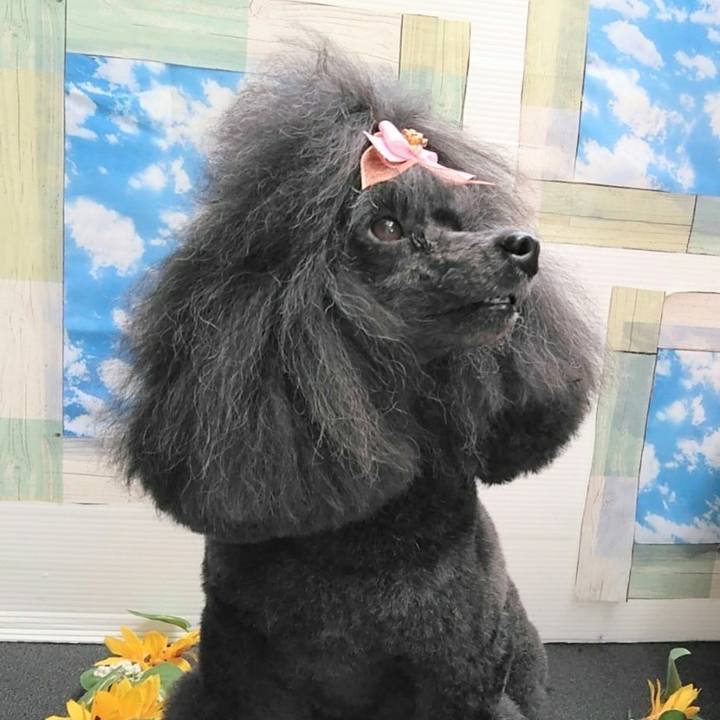 D58edac9 261c 4c0b 84fe 9c58fbfae35a 1660280616551