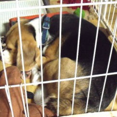 D58eef9d 9291 40eb 8674 8c47108d1c85 1692749695573