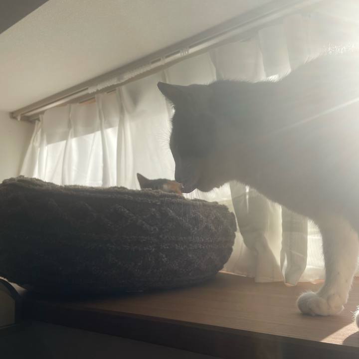 D58f1c46 1a15 4d12 bbe7 28ac23fdd26c 1676442418909