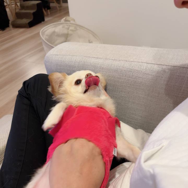 D58f1cbf 2650 4b00 b834 7930f56ed2f3 1731243567350