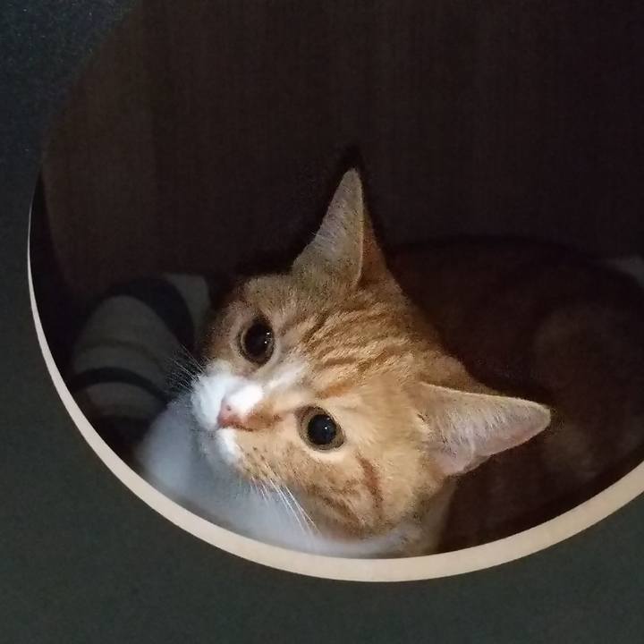 D58f2243 5ac5 4ba7 83c6 f7536a599fd1 1635858781074