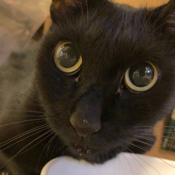 D58f336a 8bf8 4b7e 92d9 6e0c08dbdba2 1536417771283