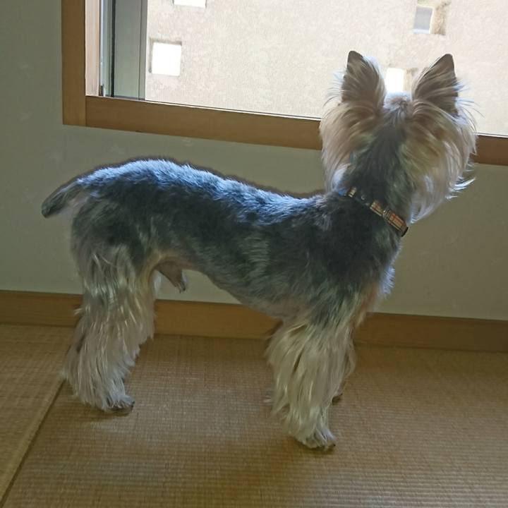 D58f3c6d d60e 4c3c a650 f3727ee49eb8 1526884241756