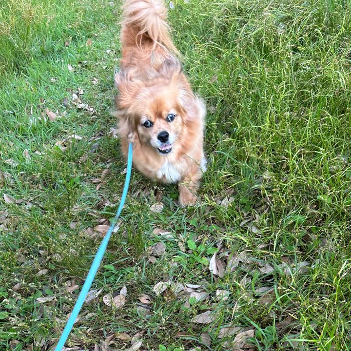 D58f6027 b1af 4518 bc7a 079a4b7cfa41 1718312820726