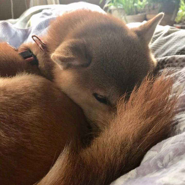 D58f6fe1 7152 4c58 9e26 9cf45b790555 1543806174320