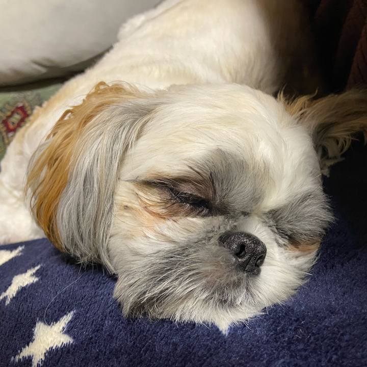 D58f7c83 8a94 4b93 b5c6 61a88b6f38d6 1661352219059