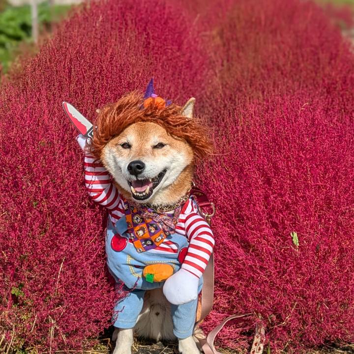 D58f818c b475 43b6 93fe bea8f0354d40 1730458205662