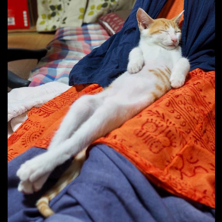 D58f96dc 0cb0 4e35 a505 25e2829c73ba 1518529828528