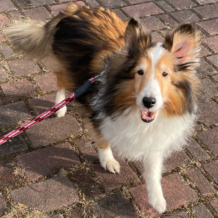 D58fc955 8cf3 49c7 b79e 19b3f4af2f42 1725796683516