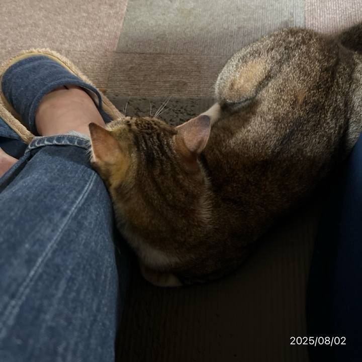 D58feb13 b121 424e a4cb 248a457b46ca 1754109252246